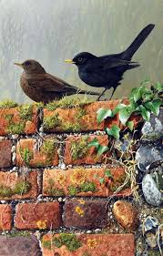Benjaminpelemele Terance James Bond Birds Painting Watercolor Bird Bird Art