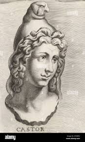 Twin half brothers hi-res stock photography and images