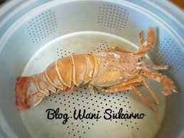 Kembung, resepi cucur ikan bilis, resepi cucur pisang madu, resepi cucur ikan bilis mudah, resepi cucur udang chef wan, resepi cucur udang ala mamak, resepi related post: Resepi Lobster Masak Butter Paling Sedap
