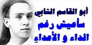 ﻟﻴﻜﺸﻒ ﻋﻦ ﺃﻫﻢّ ﺍﻟﻤﻀﺎﻣﻴﻦ ﺍﻟﺮﻭﻣﺎﻧﺴﻴﺔ ﺍﻟﺘﻲ ﺗﺠﻠﺖ ﻓﻲ ﺷﻌﺮ ﺍﻟﺸﺎﺑﻲ. Ø´Ø¹Ø± Ø§Ø¨Ùˆ Ø§Ù„Ù‚Ø§Ø³Ù… Ø§Ù„Ø´Ø§Ø¨ÙŠ Ø¹Ù† Ø§Ù„Ø·Ø¨ÙŠØ¹Ø©