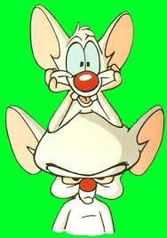 Narf Pinky And The Brain Back When Cartoons Were Good And Cute I Loved Them Lol Quote Are You Thinking What Im Thinking I Think So Brain But If Jimmy C