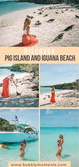 Swimming With Pigs And Sharks On A Day Trip To The Exumas Bahamas Bahamas Travel Exuma Pig Island