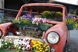 In der passage sihlquai beim aufgang sihlpost sowie in der passage bahnhofstrasse erhältst du rund um die uhr frischen schnittblumen auf knopfdruck. Blumenauto