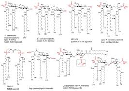 It is important to use a different site each time you give an injection. Pharmaceutics Free Full Text Rational Vaccine Design In Times Of Emerging Diseases The Critical Choices Of Immunological Correlates Of Protection Vaccine Antigen And Immunomodulation Html