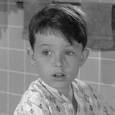 List of Leave It to Beaver cast members