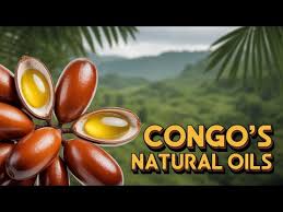 Image result for Myrianthus holstii