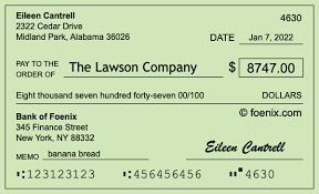 How to write a check for $8,747