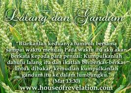 Jangan rindu, karena rindu itu berat. Lalang Dan Gandum Nubuat Akhir Zaman