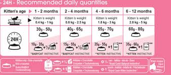 Kitten Weight And Feeding Chart Kitten Age Weight Chart