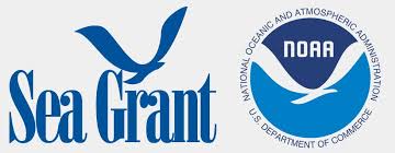 Start studying health foundations vocab 7.2. Toxins Seafood Health Facts