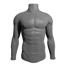 Male Mannequin 3d Model 3d Model Anatomy Reference 3d Model Character