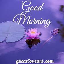 Beautiful Good Morning Images Hd 1080p Download In 2020 Good Morning Images Hd Good Morning Images Lovely Good Morning Images