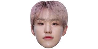 Browse the user profile and get inspired. Hoshi Seventeen Maske Aus Karton Celebrity Cutouts