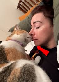 How Do Pets Behave With Their Owners?