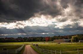 Leaving Horses Out In The Rain Everything You Need To Know