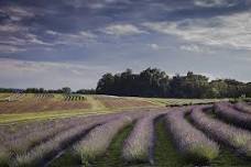 Yoga Hike @ Star Bright Farm - July 4th