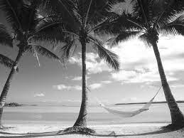 Black And White Photos Google Search Beach Landscape Black And White Beach Beach