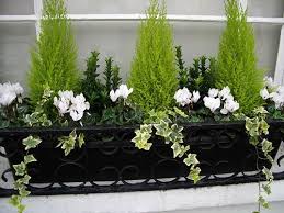 Winter Window Box Could Do This With My Little Conifer That Needs Repotting Anyway Winter Container Gardening Window Box Flowers Winter Window Boxes