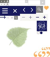 How To Chant Soka Gakkai International Sgi In 2020 Daily Encouragement Life Philosophy Buddhist Practices