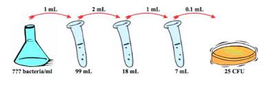 This takes into account all of the dilution of the original sample. 1 Calculate The Number Of Cfu On The Highest Chegg Com