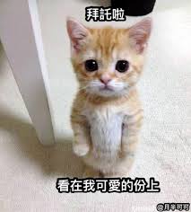 拜託我需要東華藝設的好心人 - 升大學考試板 | Dcard