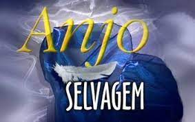 Play anjo selvagem manu on soundcloud and discover followers on soundcloud | stream tracks, albums, playlists on desktop and mobile. Anjo Selvagem Tv Series 2001 Filmaffinity