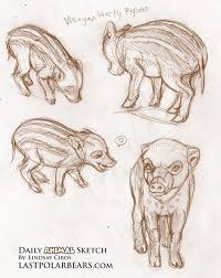 The Last Of The Polar Bears Dailysketch Animal Drawings Sketches Animal Sketches Animal Drawings