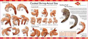 harvest of the sea hos shrimp size chart cooked page 1