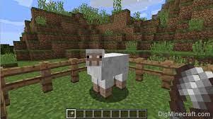 Note that some plants can be harvested. How To Shear A Sheep In Minecraft