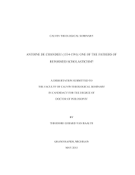 Https Www Calvin Edu Library Database Dissertations Van 20raalte Theodore Gerard Pdf
