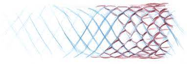 We did not find results for: How To Draw Scales John Muir Laws