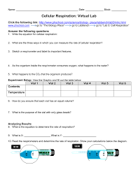 Cellular Respiration Virtual Lab