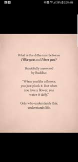 Pin On Almost Love Quotes