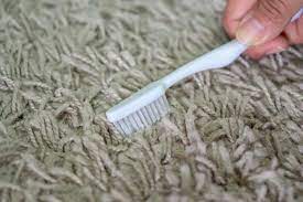 How To Clean Up Spilled Milk On Carpet - Renew Carpet Cleaning