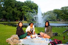 Why the Netherlands is a Great Country to Study and Live