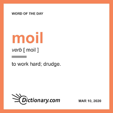 Moil Word Of The Day March 10 2020 In 2020 Word Of The Day Words Cool Words