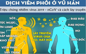It was first identified in december 2019 in wuhan,. Bá»‡nh Viá»‡n Tim Tam Ä'á»©c Bá»‡nh Viá»‡n Tim Máº¡ch Hcm Tamduchearthhospital