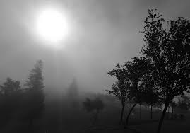 2.2 malonga casquelourd center for the arts 2.3 oakland main library the neighborhood also features the malonga casquelourd center for the arts on alice street, a. Lives Of The Dead Mountain View Cemetery In Oakland Malonga Casquelourd 1947 2003 Famous Congolese Dancer Choreographer