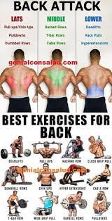Middle back exercises are often overlooked by people who are hoping to strengthen different parts of their bodies. 54 Back Day Workout Ideas Workout Gym Workouts Back Workout