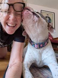 Susannah Demaree, Counselor, Newport Beach, CA, 92660