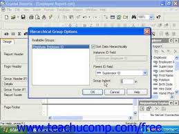 Learn About Hierarchical Groupings In Crystal Reports By Business Objects At Www Teachucomp Com A Clip From Mastering Crysta Crystal Reports Crystals Tutorial