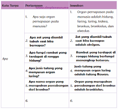 Maybe you would like to learn more about one of these? Lengkap Kunci Jawaban Kelas 5 Tema 2 Subtema 1 Pembelajaran 2 Simple News Kunci Jawaban Lengkap Terbaru