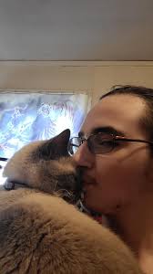 Lost Cat in Wailua Homesteads, Kauai