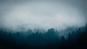 1920x1080 10 latest age of empires wallpaper full hd 1080p for pc background. Download Wallpaper Gif Hd Hd Cikimm Com