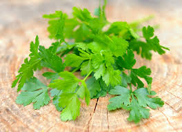 She has had dogs, cats, birds, turtles, fish, frogs, and rabbits. Is Parsley Safe For Cats Barkspace