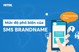 Mức độ phổ biến của dịch vụ tin nhắn thương hiệu SMS Brandname năm 2024 -  MITEK J.S.C