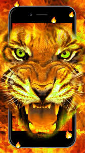 You like animals, especially lions? King Fire Lion Live Wallpaper Amazon De Apps Fur Android