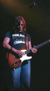 Image result for Peach Pink 1977 Hussmann