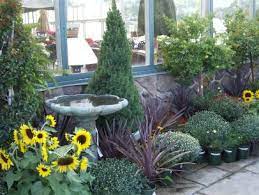 I bought potting soil and added peat moss and shredded pine bark mulch to it, which also helps with #1. 10 Ways To Use Versatile Dwarf Alberta Spruce In The Landscape Hgtv