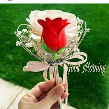 Everyone is on social connected with each other so feel free to share morning images hd for facebook and whatsapp. Good Morning And Good Night Love Images Gifts For Android Apk Download